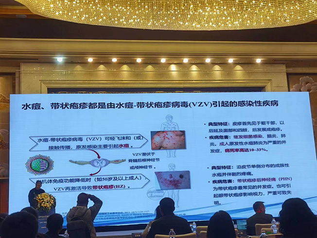 6567d3ecc37b8.jpg 圖片3.jpg