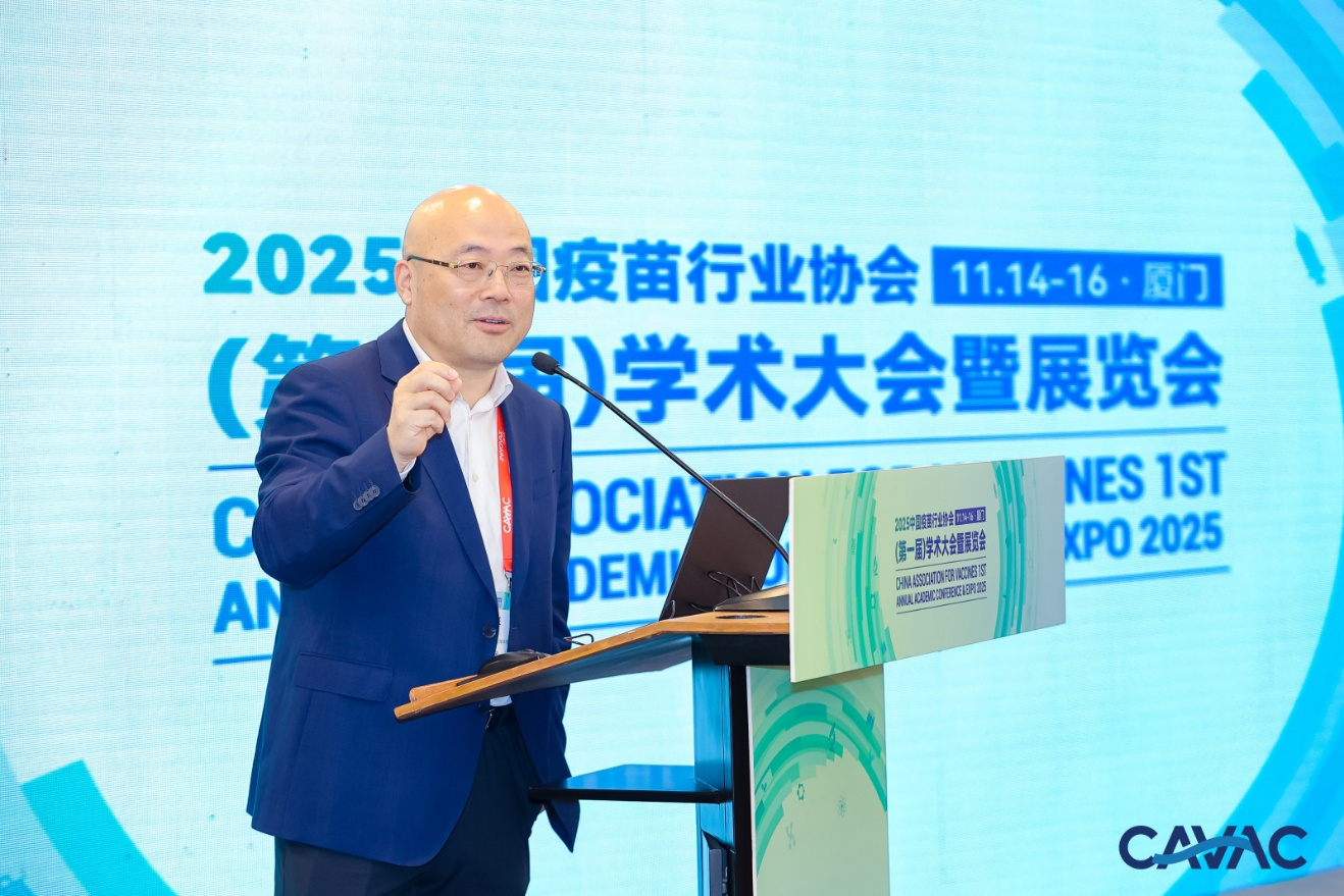 691d1eaa777df.png 691d1eaa777df.png