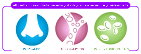 61c56afdbc43d.jpg 61233cbd2b89c.jpg